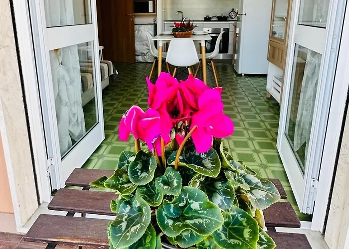 Apartamento Giulia - Palazzo Milano